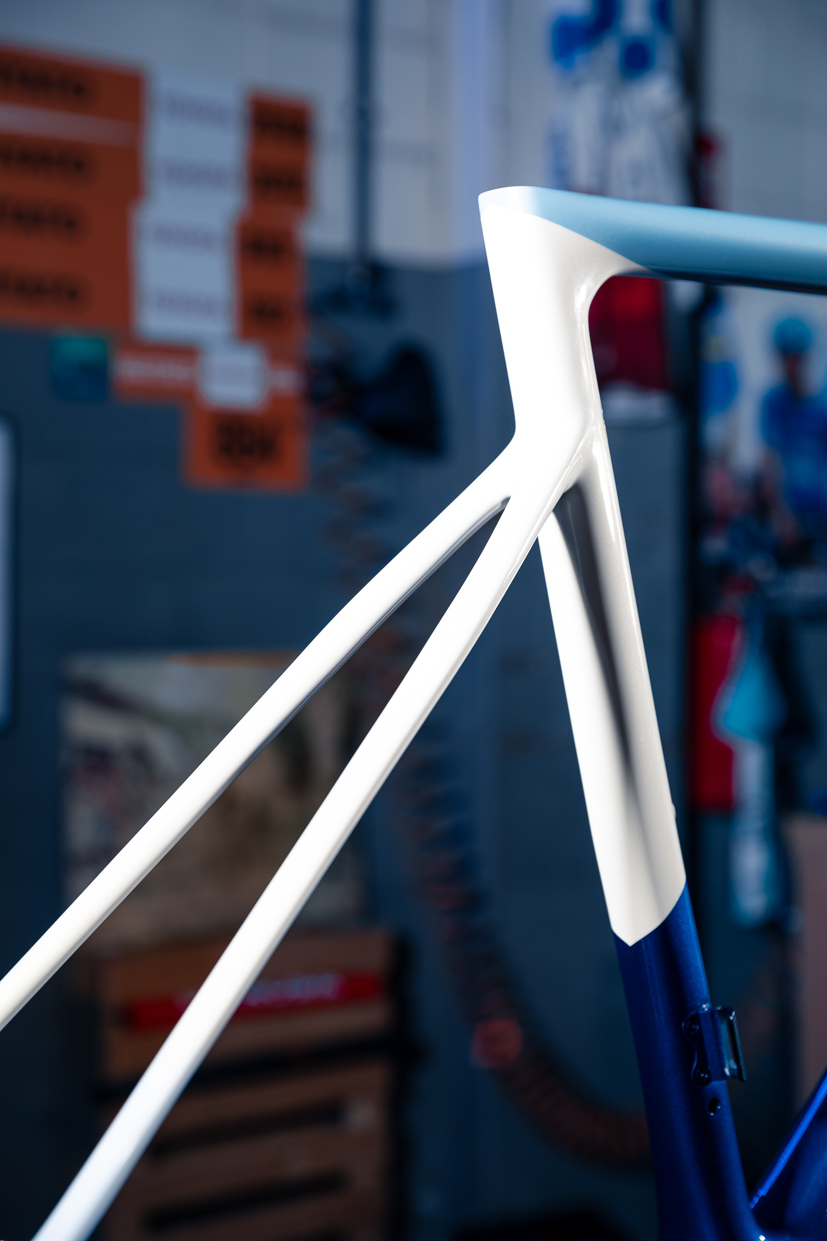 de-rosa-merak-cloud-blue-v-lo-route-pi-ce-unique-colorblock image 6