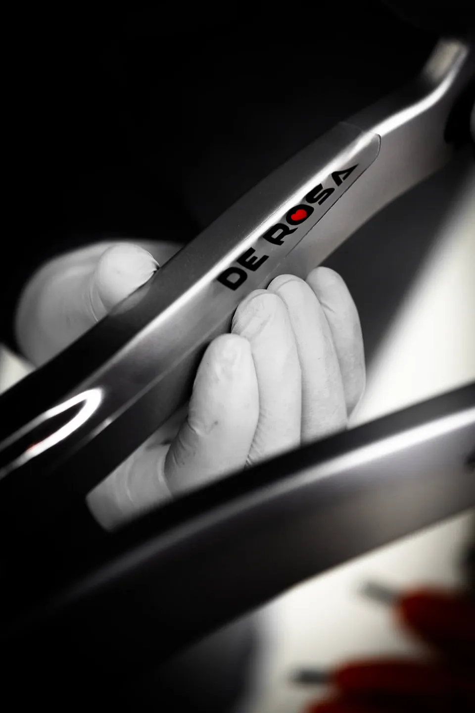 de-rosa-chain-guard-prot-ge-base-cadre-v-lo image 1