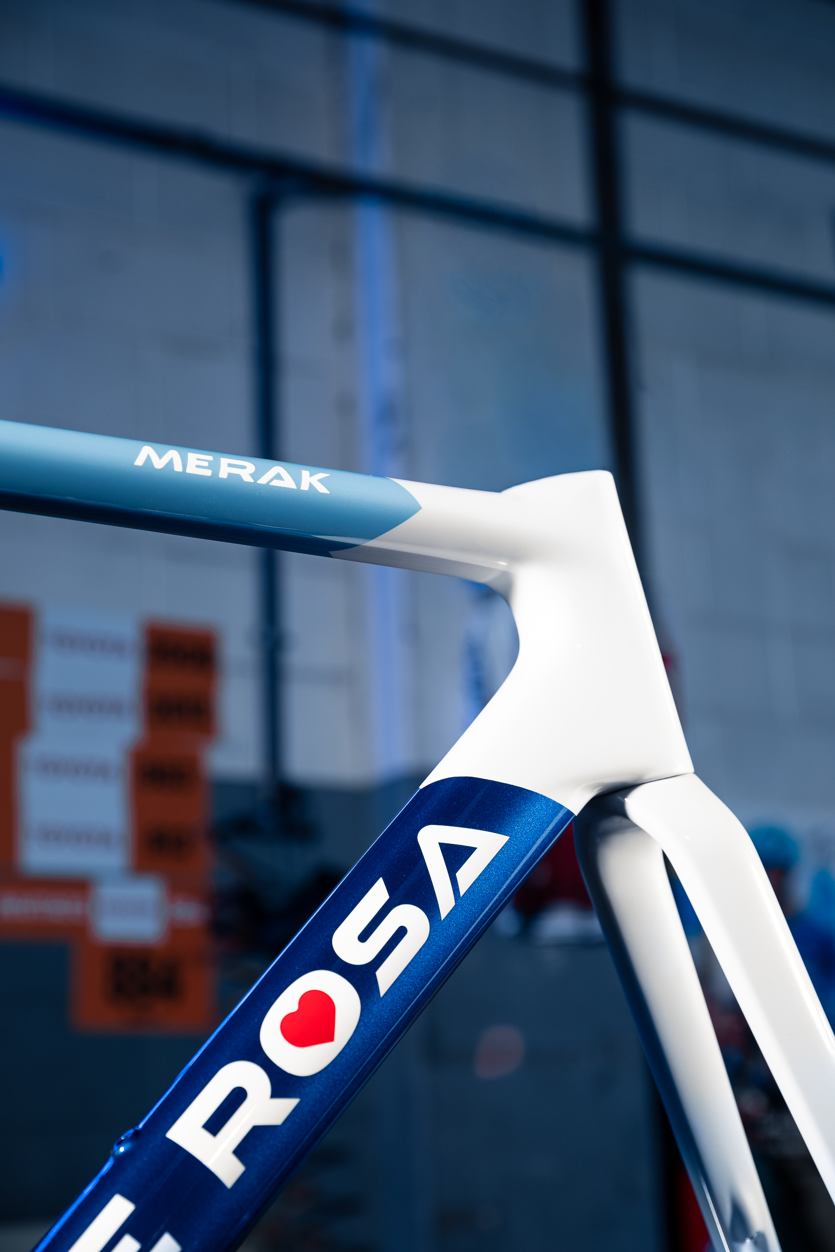 de-rosa-merak-cloud-blue-v-lo-route-pi-ce-unique-colorblock image 5